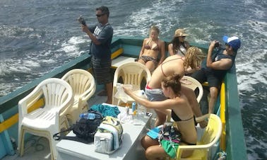 Excursión en barco a Lagoa da Conceição, Florianópolis