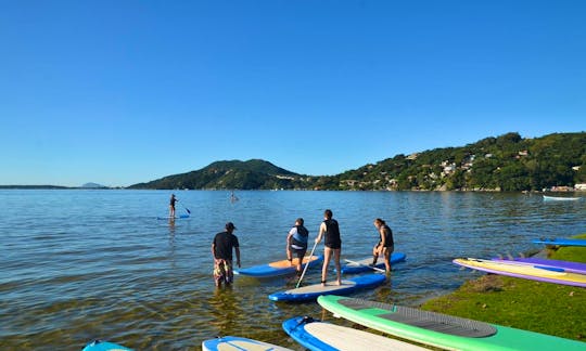 Paddleboard in Florianópolis