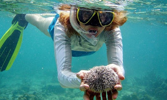 Book this Exciting Snorkeling Tour in Kuta, Indonesia