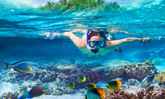 Book this Exciting Snorkeling Tour in Kuta, Indonesia
