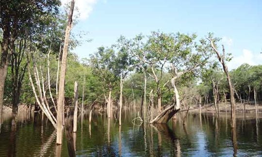 Charte de pêche Bowrider à Manaus