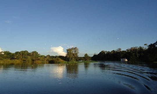 Charte de pêche Bowrider à Manaus