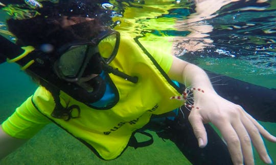 Snorkeling & Kayak Mini Eco-Experience
