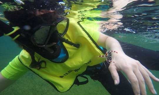 Snorkeling & Kayak Mini Eco-Experience