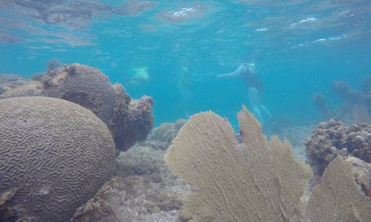 Snorkeling & Kayak Mini Eco-Experience