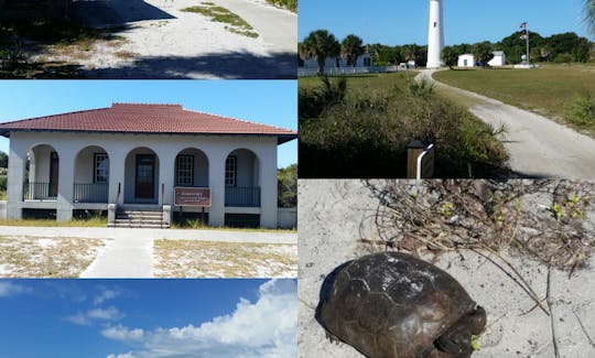 Somethings that you could see at Egmont Key