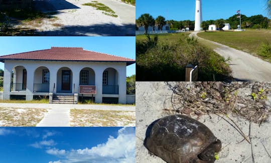 Somethings that you could see at Egmont Key