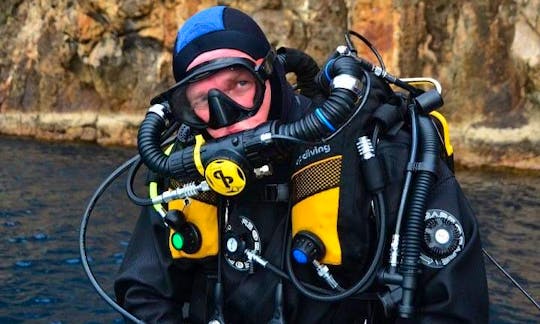 RIB Diving Trips in Warkworth, New Zealand