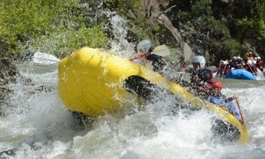 スペイン、ソルトでのガイド付きラフティング旅行