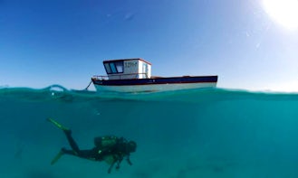 Boat Diving Trips to Cape Verde's Famous Dive Sites