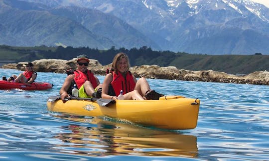 Kayaking Seal & Sunset Tours in South Bay