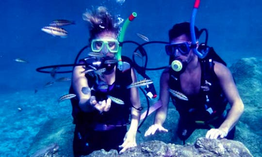 Bali Islands Diving Tour with Professional Bali Diving Instructor