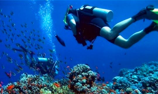 Fantastic Diving Tour in Kuta Selatan, Indonesia