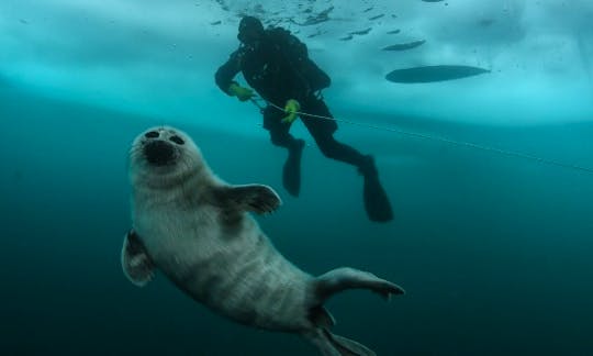 69' "Myth" Diving Trips in Irkutsk, Russia