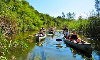 River Safari Canoe Tour On Addo River