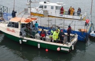 Fishing Charter "Deora Dé" In Ireland
