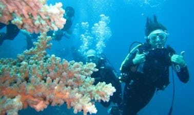 Excursion de plongée incroyable et passionnante pour 2 personnes à Bali, en Indonésie