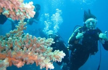 Amazing and Exciting Diving Tour for 2 Person in Bali, Indonesia