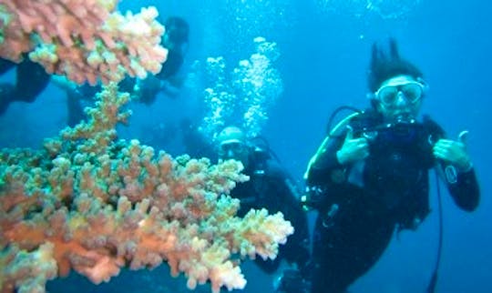 Amazing and Exciting Diving Tour for 2 Person in Bali, Indonesia