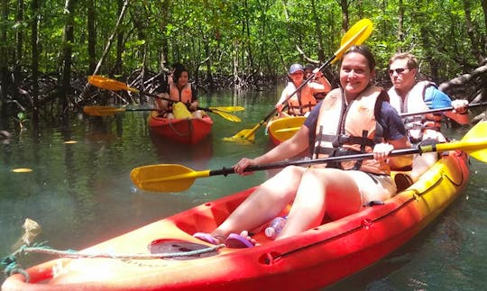 Mangrove Kayaking Tours in Langkawi