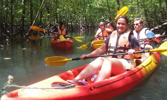 Mangrove Kayaking Tours in Langkawi