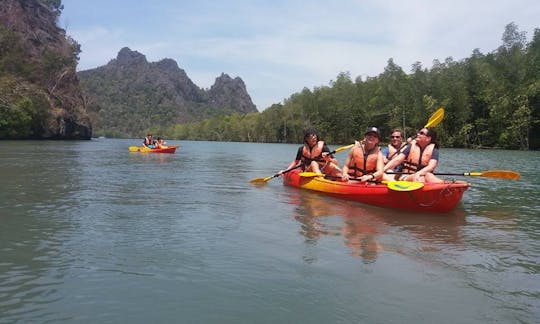 Mangrove Kayaking Tours in Langkawi