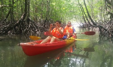 Tours en kayak por los manglares en Langkawi