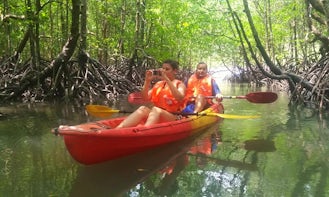 Mangrove Kayaking Tours in Langkawi