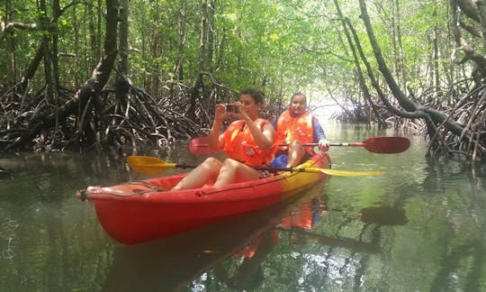 Mangrove Kayaking Tours in Langkawi