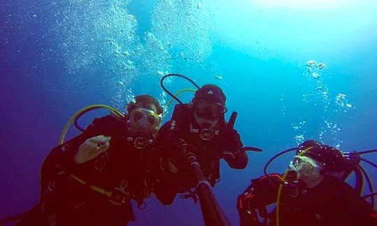 Diving Trips in Munchen, Germany