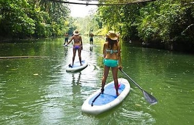 Paddleboard Lesson in the Sungai Geroh River