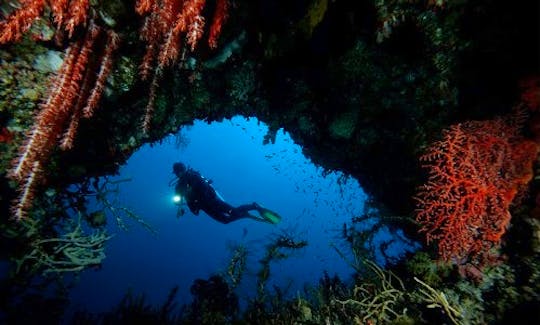 Diving Tour and Lessons in Kuta