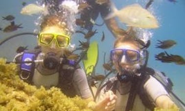 Tour de buceo y clases en Alanya