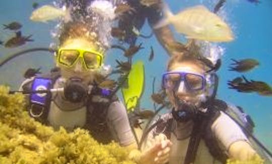Diving Tour and Lessons  in Alanya