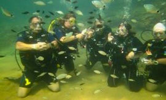 Diving Tour and Lessons  in Alanya