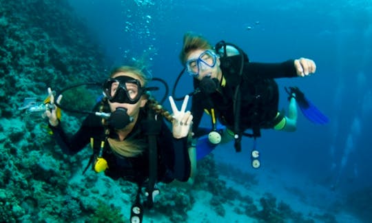 Diving Trips and PADI Courses in Bali