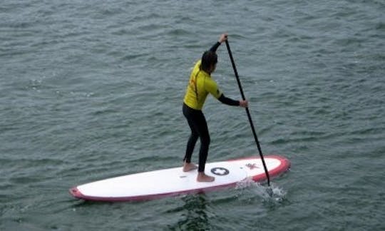 Stand Up Paddleboard Rental In Las Rozas de Valdearroyo