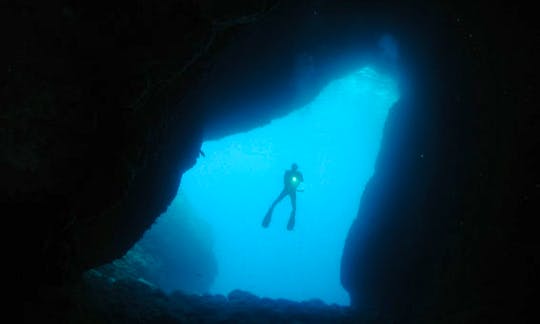 Amazing Diving Trips in Antalya