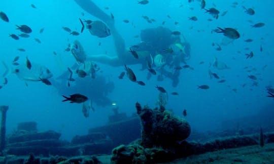 Increíbles viajes de buceo en Antalya