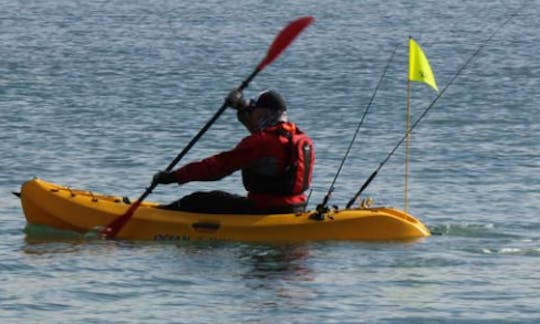 Clases y recorridos de pesca en kayak para solteros en Wellington