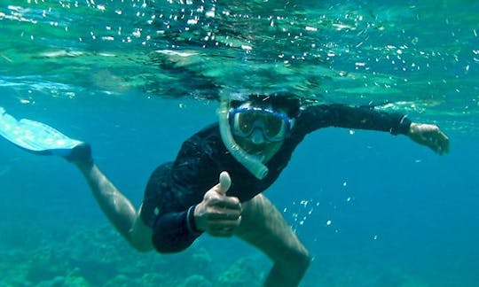 Snorkeling Tour with Anantha in Denpasar Barat, Indonesia