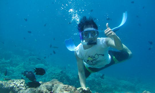 Snorkeling Tour with Anantha in Denpasar Barat, Indonesia