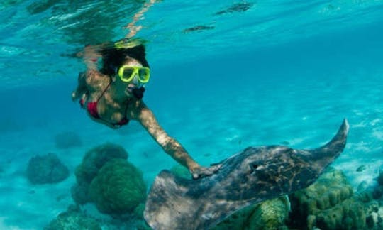 Snorkeling Tour with Anantha in Denpasar Barat, Indonesia