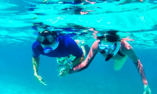 Fantastic Snorkeling Tour in Kuta Selatan, Indonesia