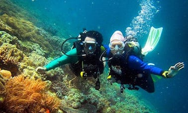 Fantastic Diving Trips on Bali's Coral Paradise