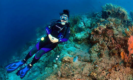 Fantastic Diving Trips on Bali's Coral Paradise