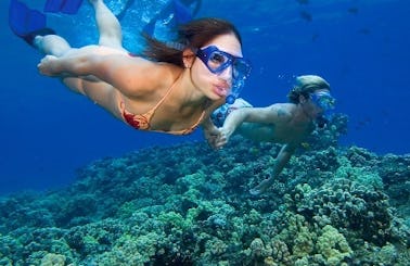 Snorkeling Trips in Onna-son