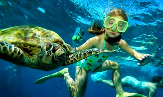 Snorkeling Trips in Onna-son