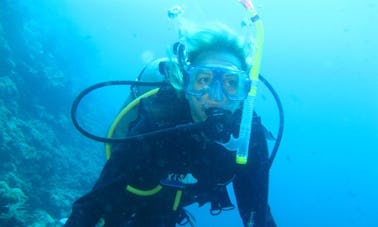 Diving Trip & Courses in Onna-son