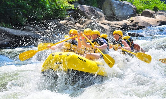 Ubud Rafting And Bamboo Forest